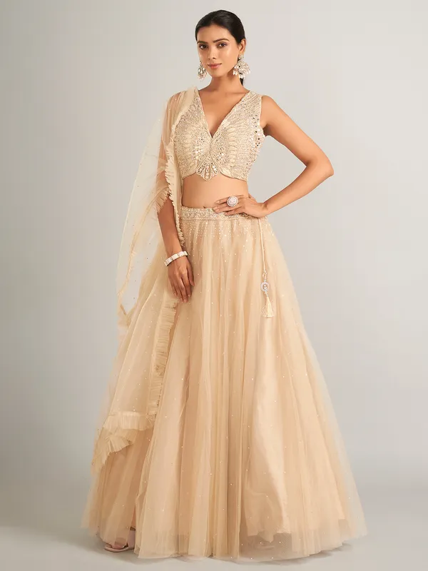 Wonderful beige net lehenga choli for wedding