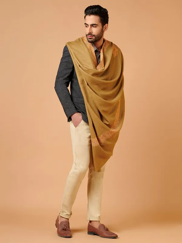 Shop Men'S Pashmina Shawl-Border Embroidery Online | AS01067244