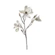 Stems & Branches