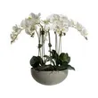 Floral Arrangements