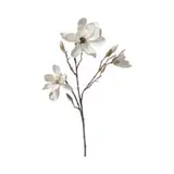 Stems & Branches