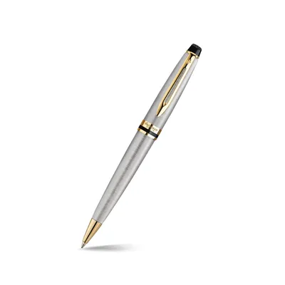 Waterman Expert Stainless Steel Gold Trim Ballpoint Pen