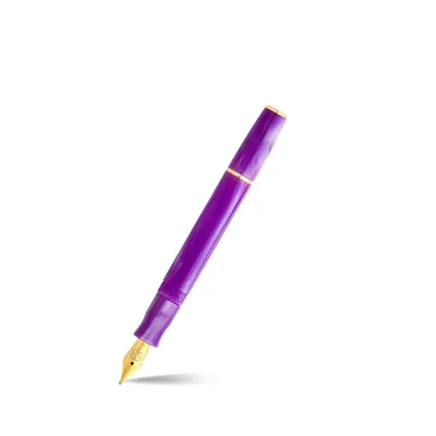 Esterbrook JR Purple Passion Pocket Fountain Pen with Gold Trims - Medium