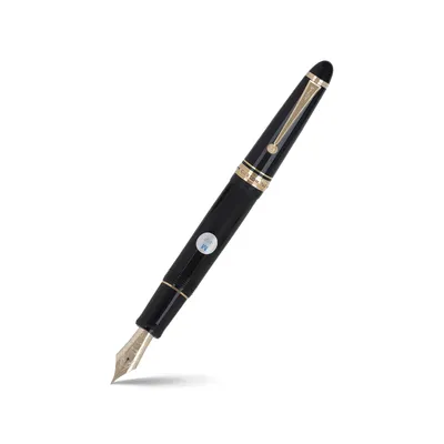 Pilot 2058 Custom 743 Black Fountain Pen-Medium