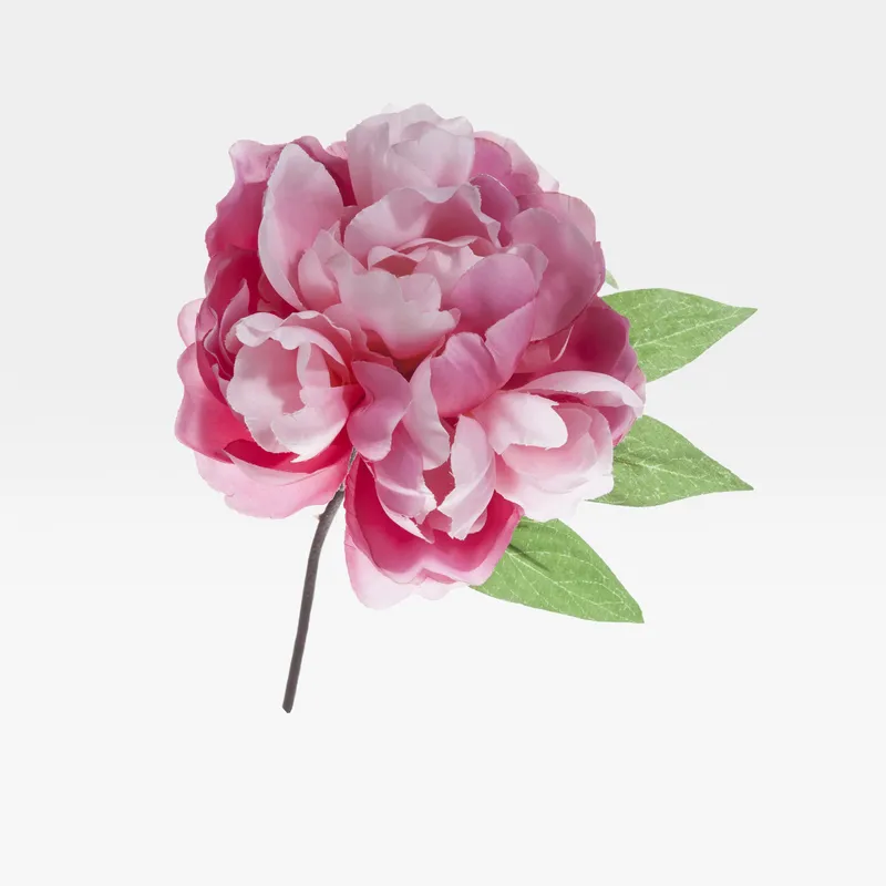 PEONY stem pink - H24cm