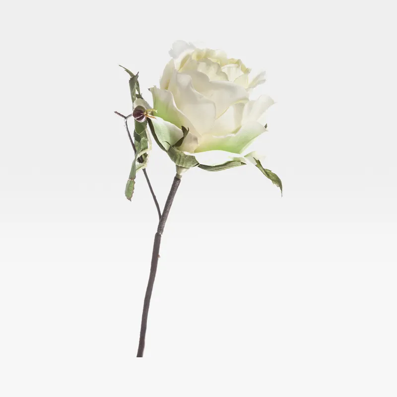 ROSE stem white - H24cm