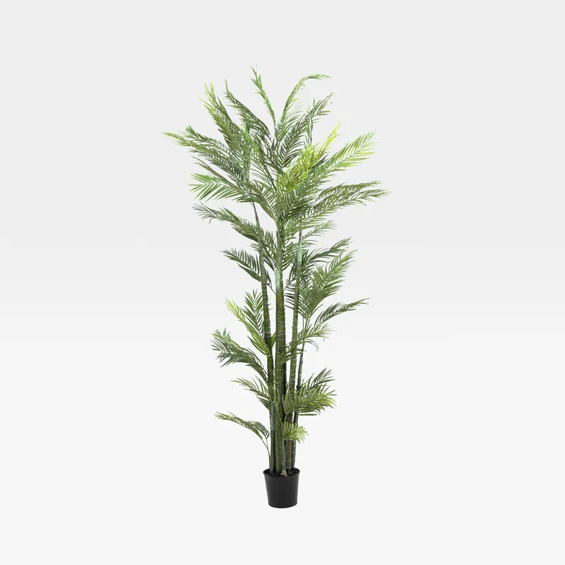 ARECA PALM tree green - H260cm