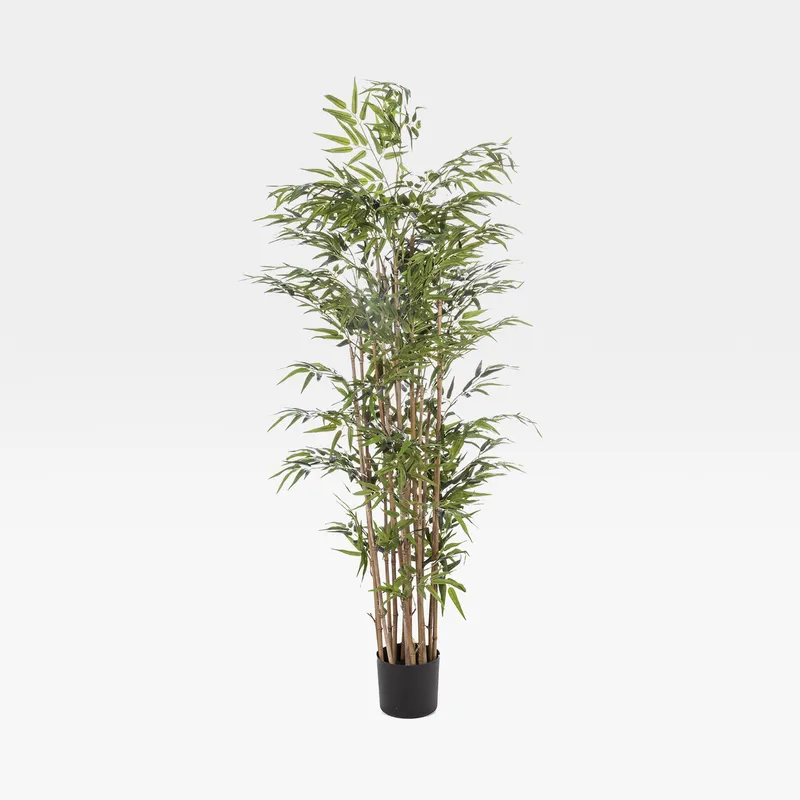 BAMBOO tree green - H180cm
