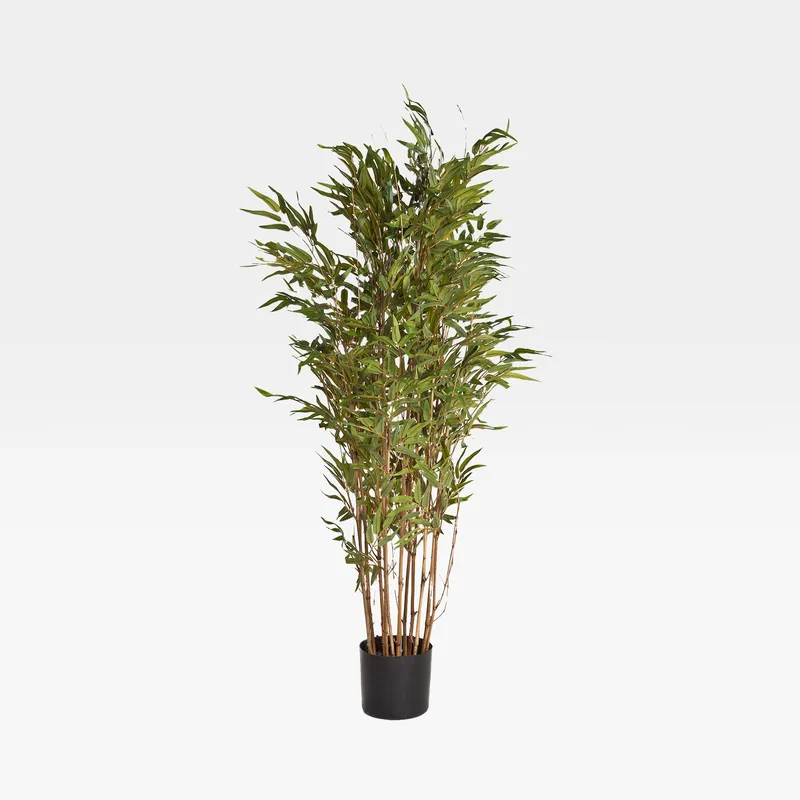 BAMBOO tree green - H150cm