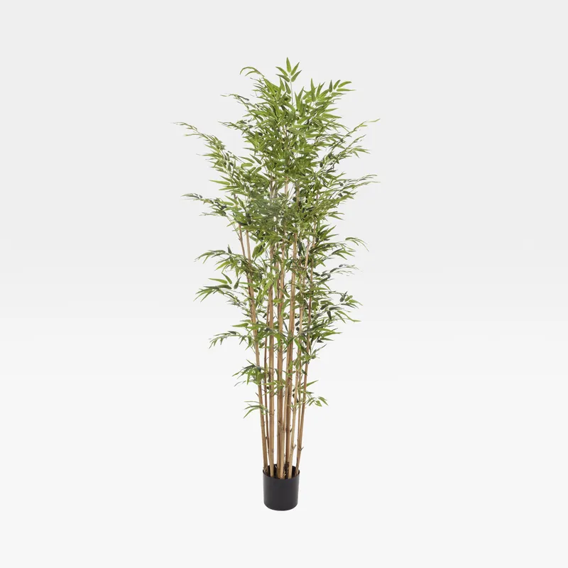 BAMBOO tree green - H210cm