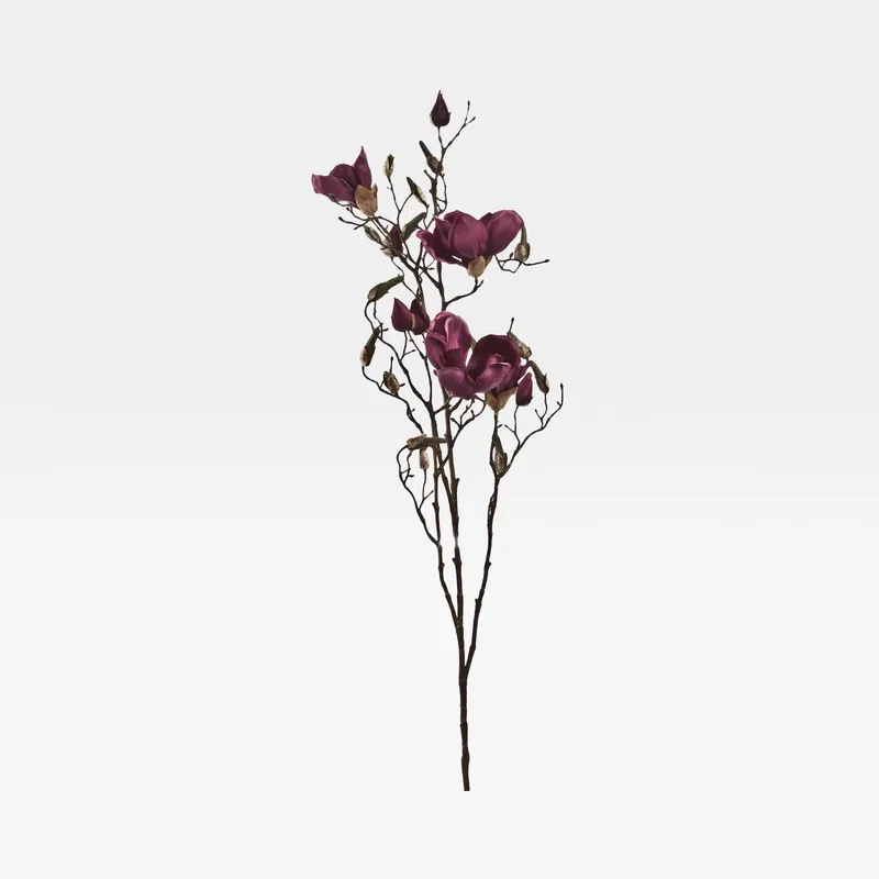 MAGNOLIA stem purple - H110cm
