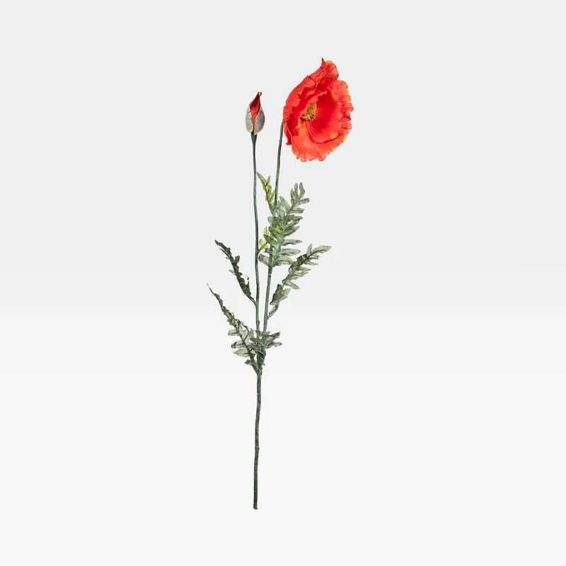 SCARLET stem orange - H120cm
