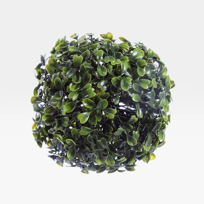 BUXBOM plant green - dia 12cm