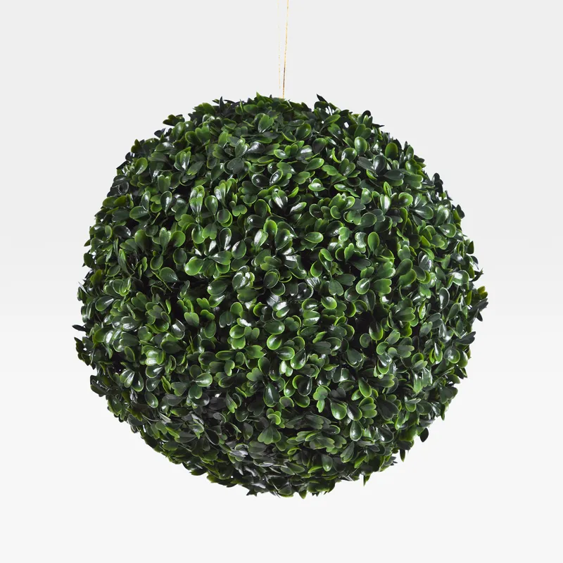 BUXBOM plant green - dia 23cm