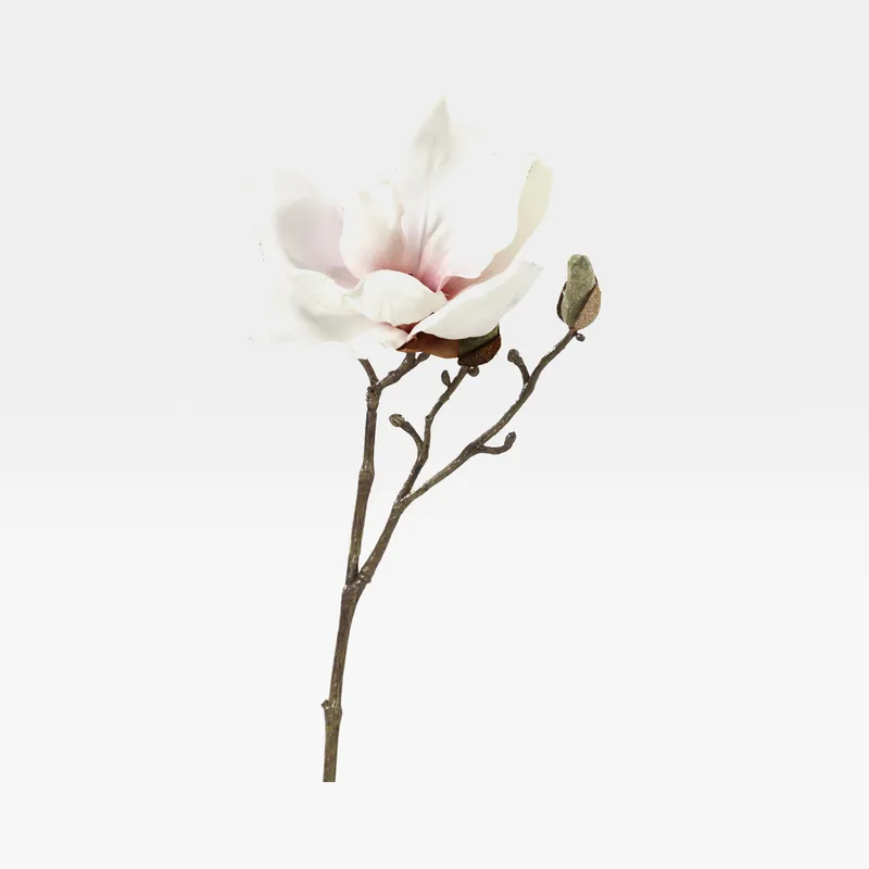 MAGNOLIA stem cream/pink - H30cm