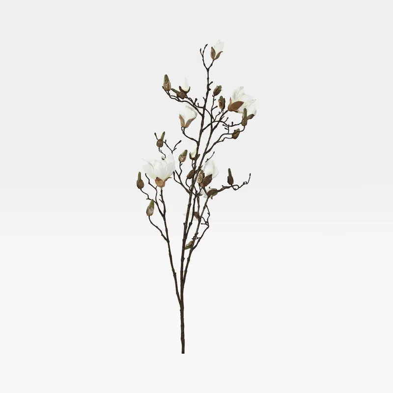 MAGNOLIA stem white - H110cm