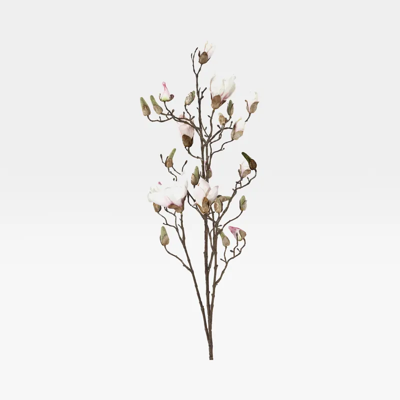 MAGNOLIA stem cream/pink - H110cm