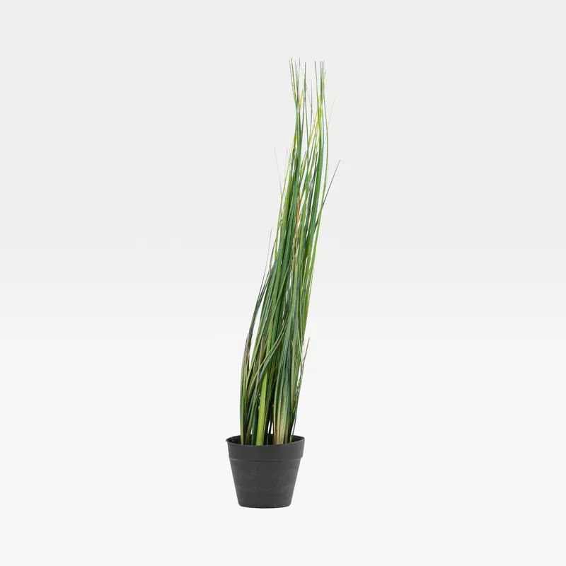 GRASS plant green - H50cm