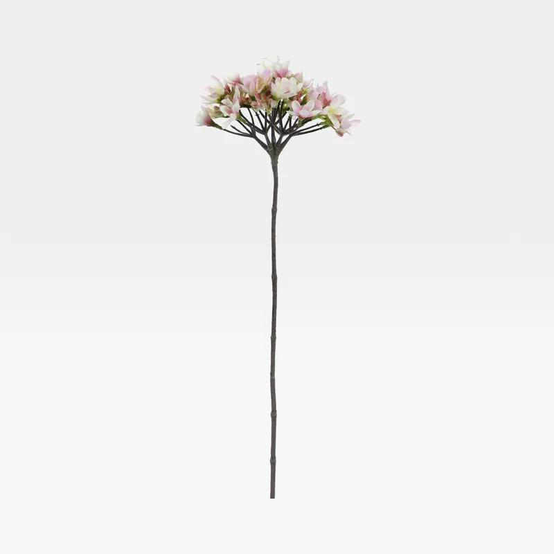 SEVEN SONS stem pink - H69cm
