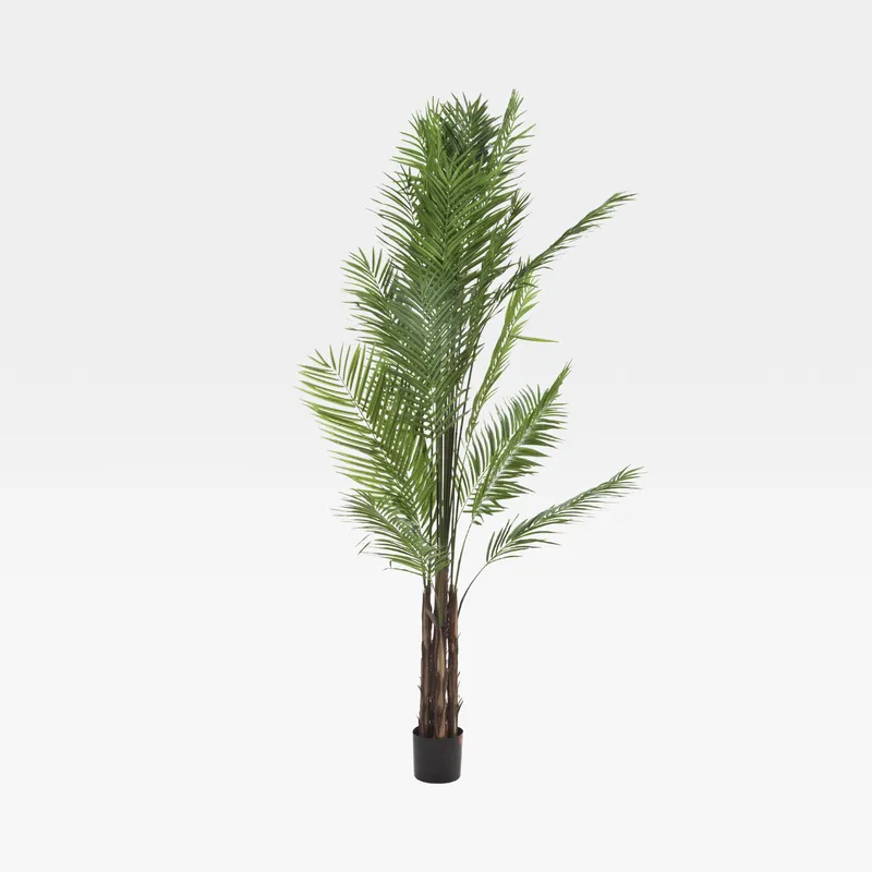 ARECA PALM tree green - H270cm