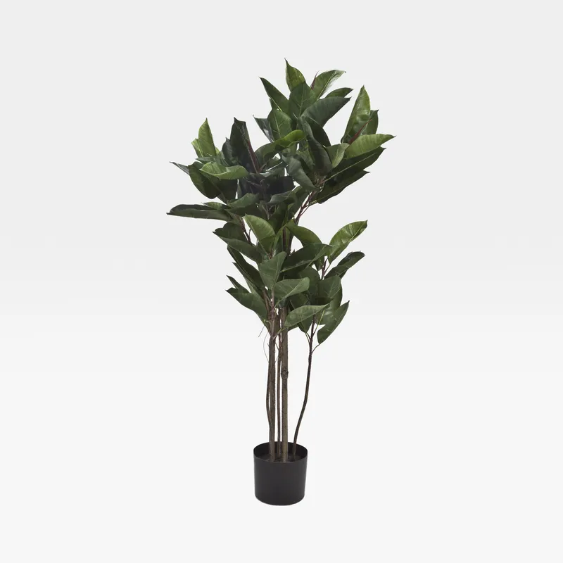 RUBBER plant green - H120cm