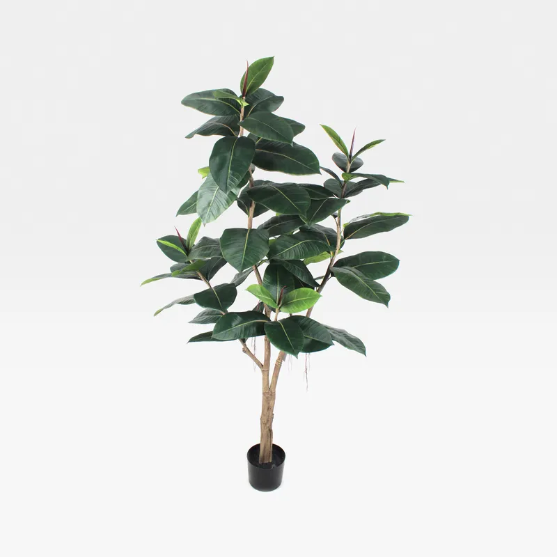 RUBBER plant green - H180cm