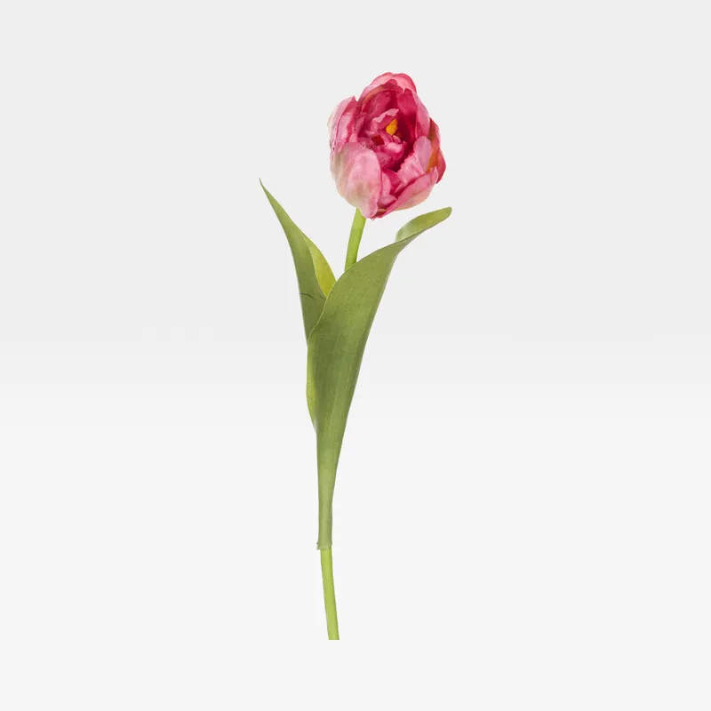 TULIP stem pink - H37cm