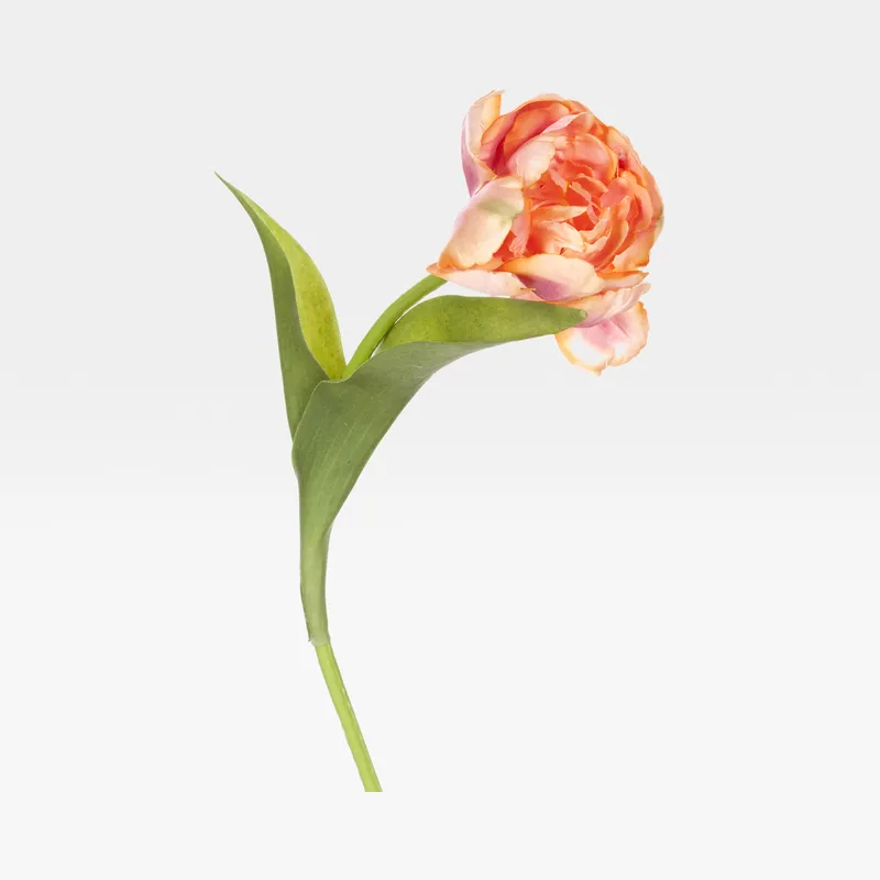 TULIP stem pink/multicolour - H37cm