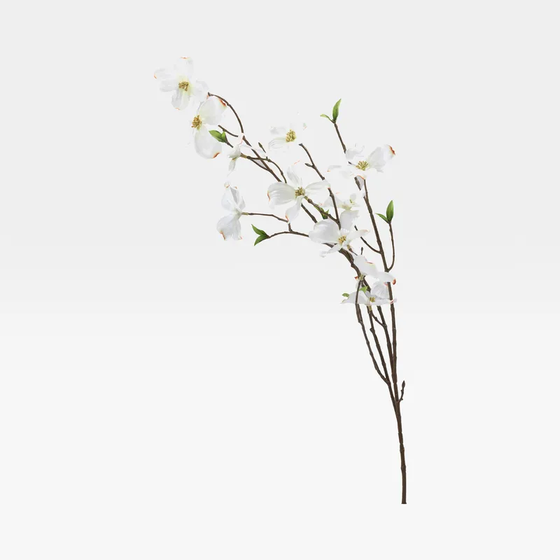 DOGWOOD stem white - H100cm