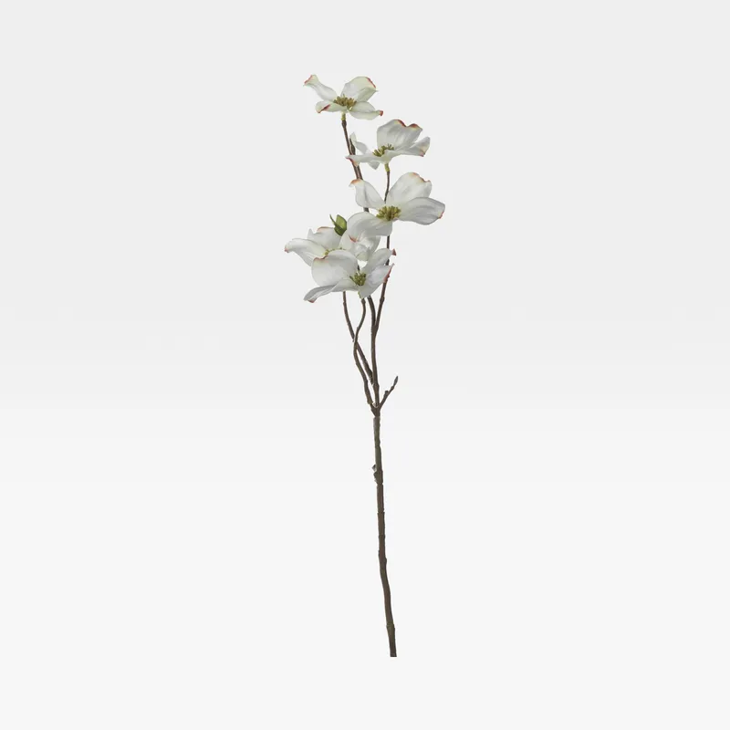 DOGWOOD stem white - H63cm