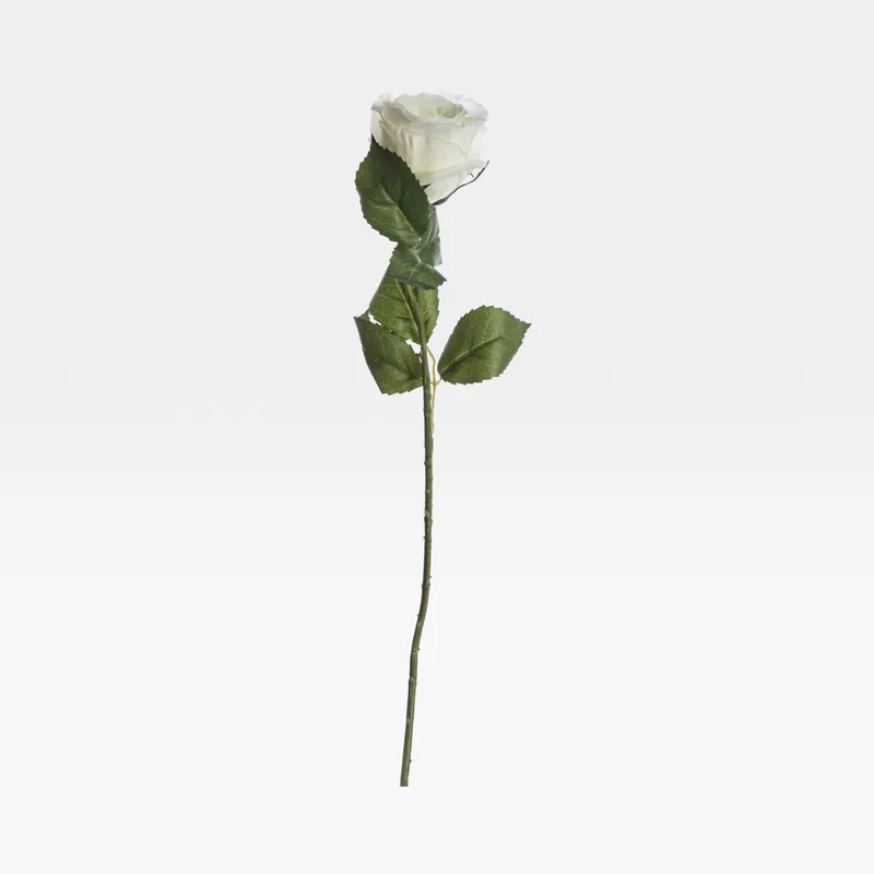 ROSE stem white/cream - H56cm