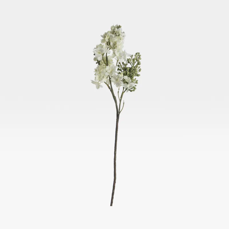 HYBRID lilac stem white - H63cm