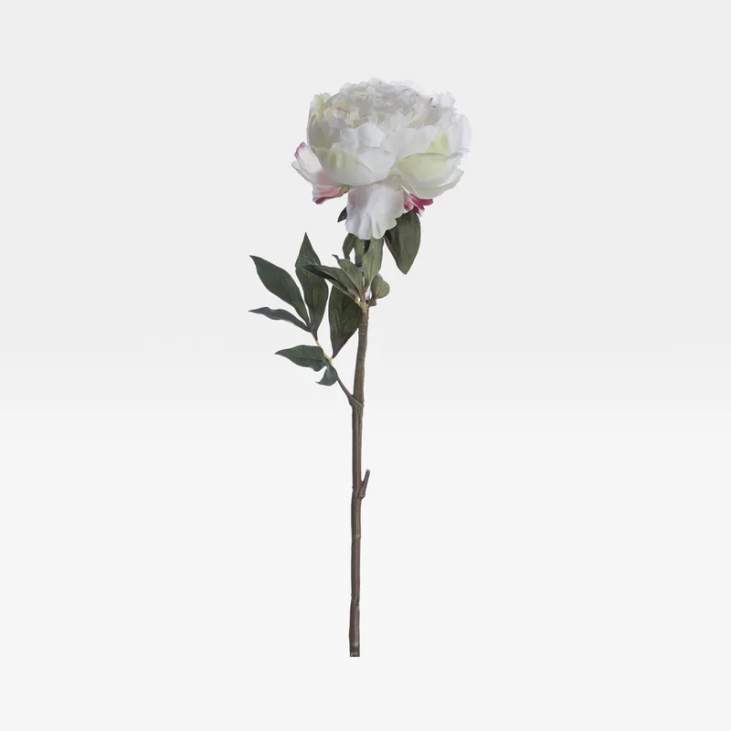 PEONY stem white/cream - H46cm