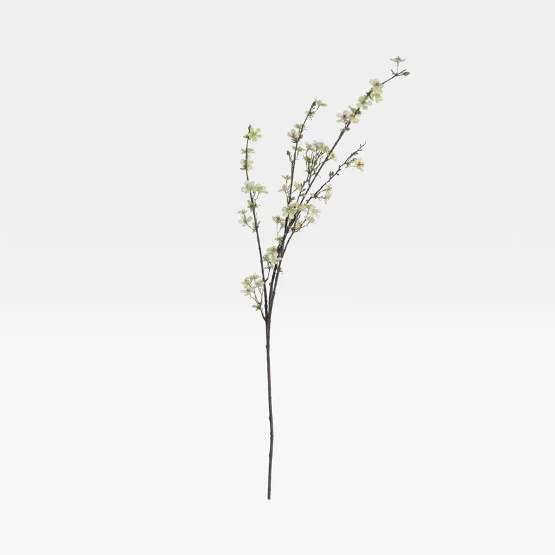 ANISODENTIA stem green - H117cm