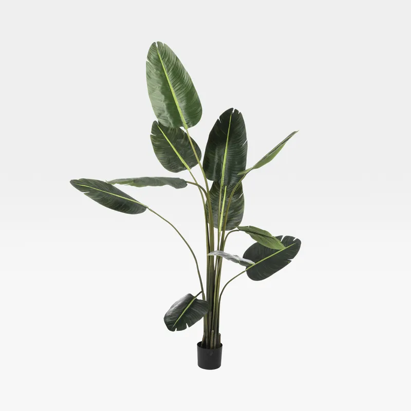 TRAVELLERS palm tree green - H180cm