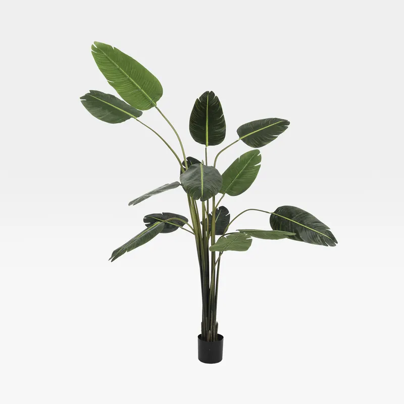 TRAVELLERS palm tree green - H210cm