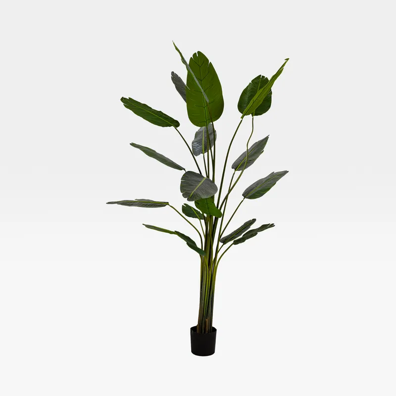 TRAVELLERS palm tree green - H240cm