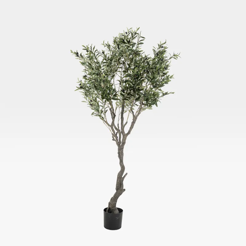 OLIVE tree green - H200cm