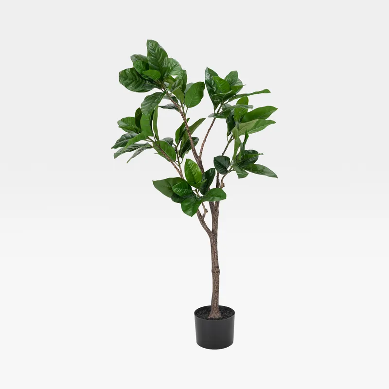 RUBBER tree green - H120cm