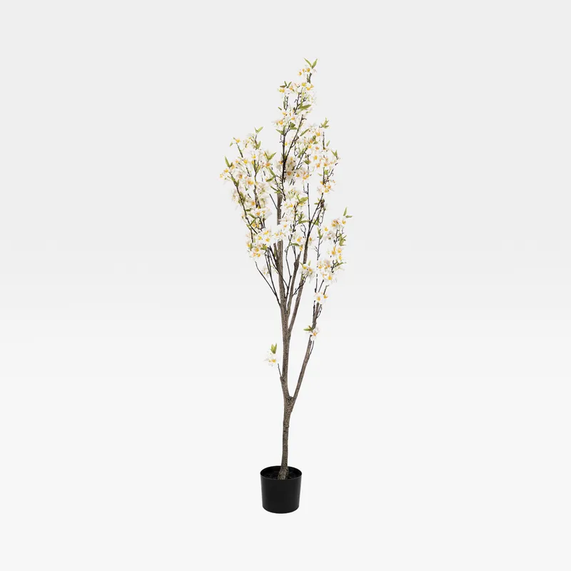 APPLE BLOSSOM tree white - H180cm
