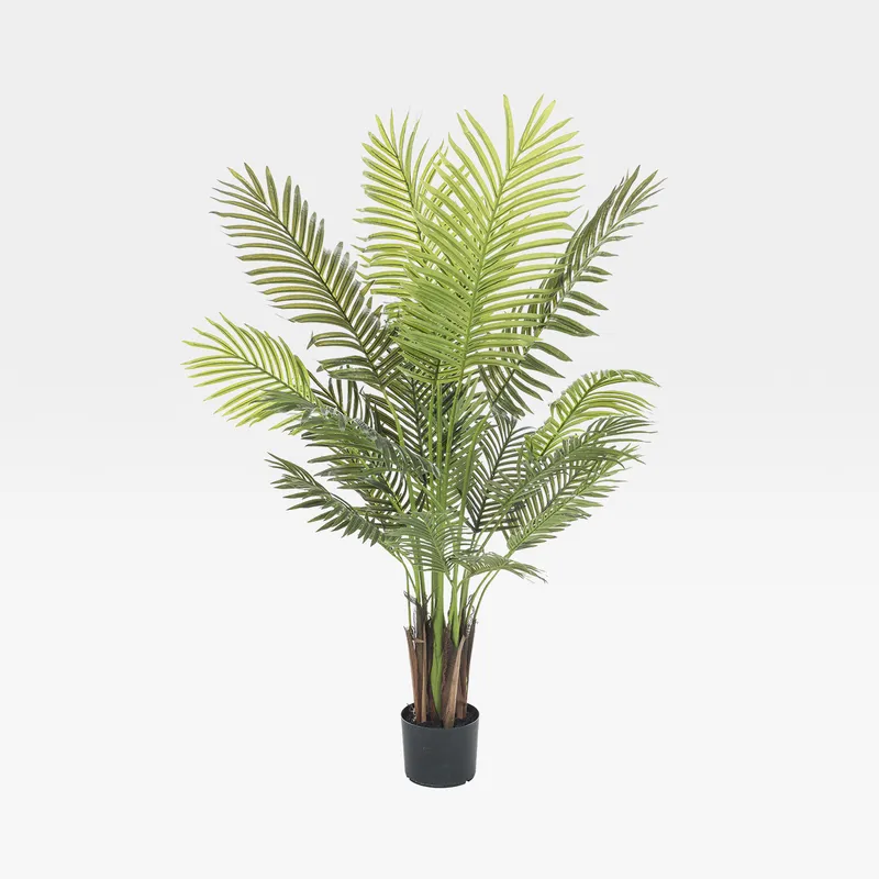ARECA PALM tree green - H150cm