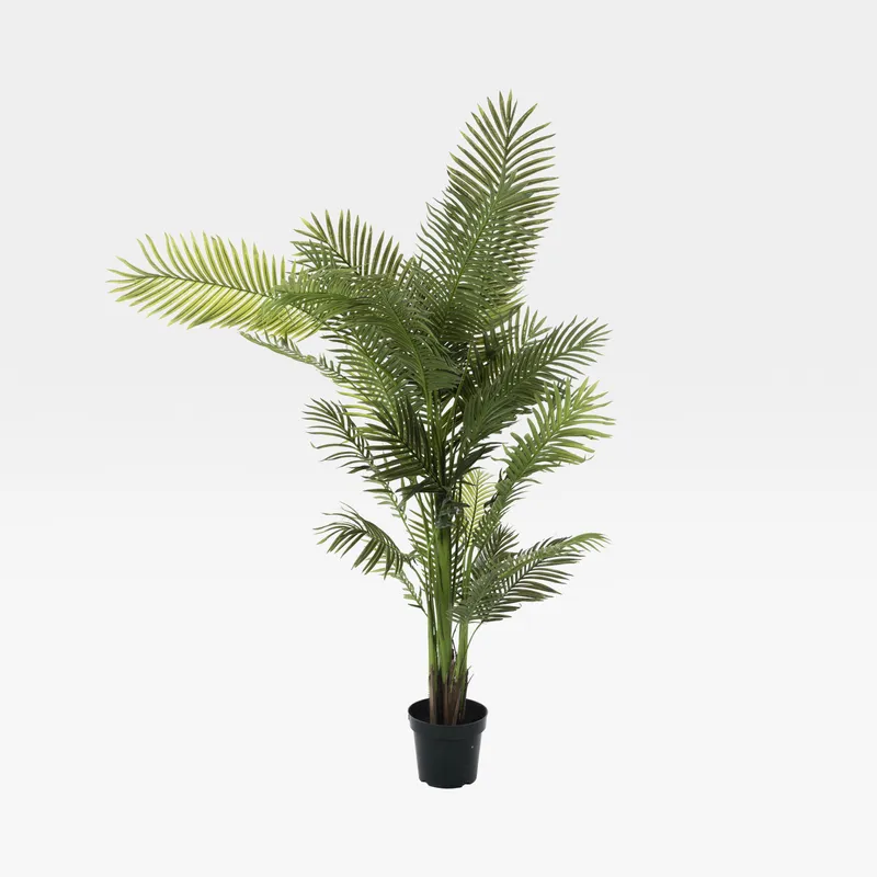 ARECA PALM tree green - H210cm
