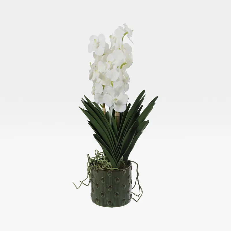 VANDA pot white/green - H77cm