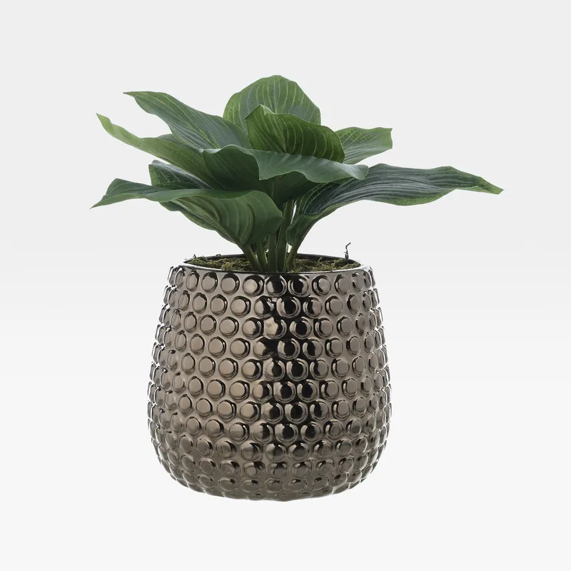 HOSTA pot green/bronze - H30cm