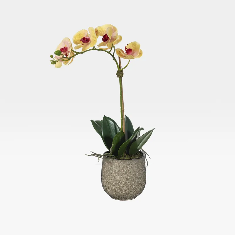 ORCHID pot yellow/multicolour - H60cm