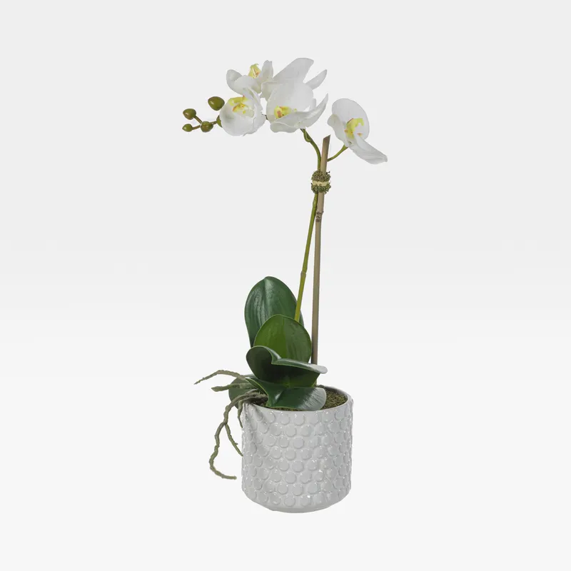 ORCHID pot white/cream - H45cm