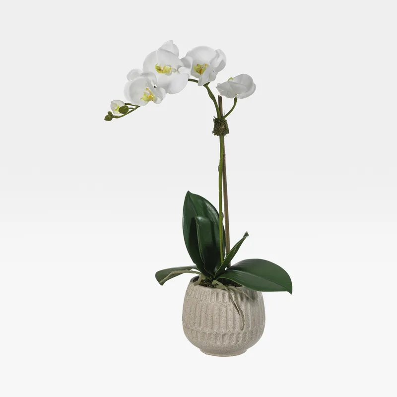 ORCHID pot white/white - H55cm