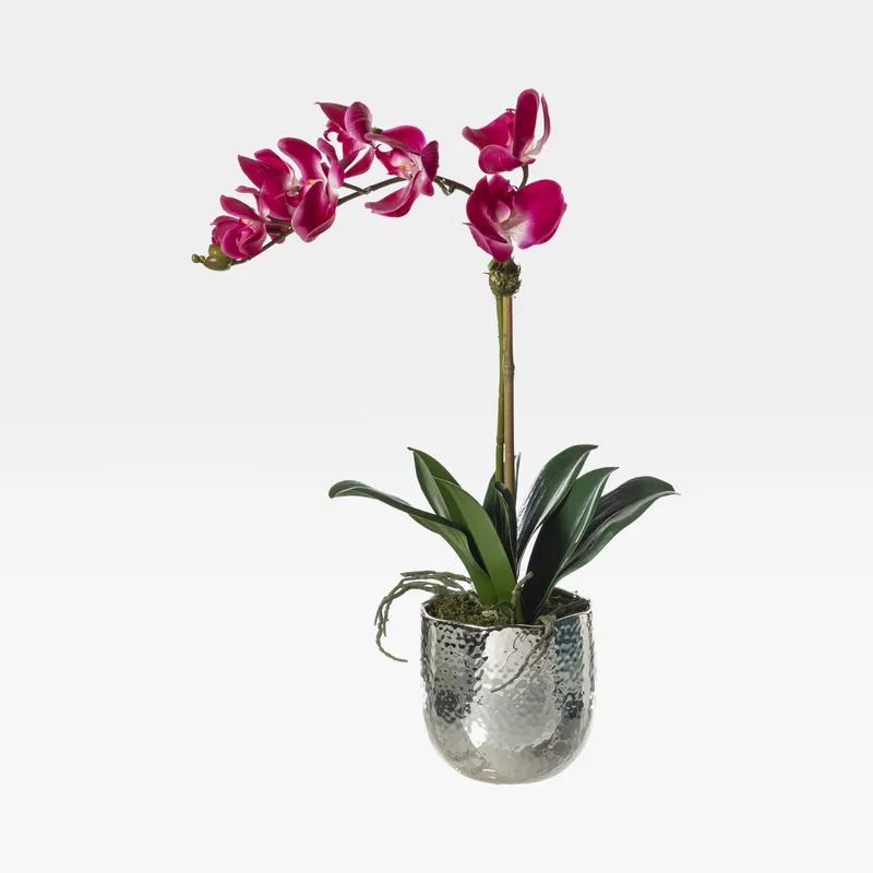 ORCHID pot purple/silver - H60cm