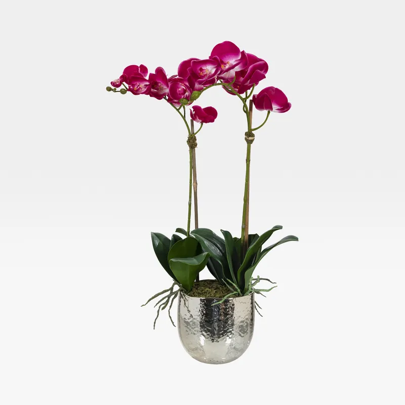 ORCHID pot purple/assorted - H70cm