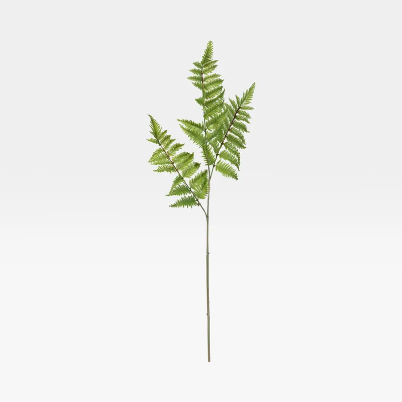 FERN stem green - H80cm